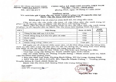 Mời báo giá cung cấp cây xanh trang trí phục vụ Tết nguyên đán (187)