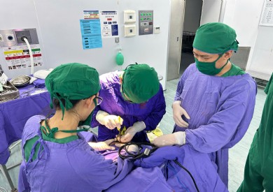 Phẫu thuật cứu sống nữ bệnh nhân bị kéo nhọn đâm xuyên não